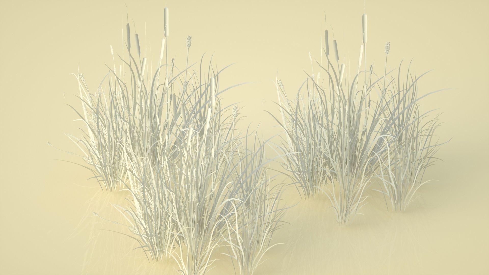 rice rice fragrance rice 3D model_1