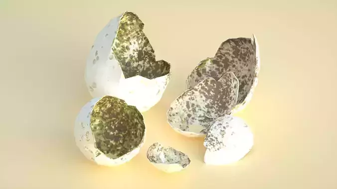 cracked egg bird egg egg shell cracked egg shell 3D model