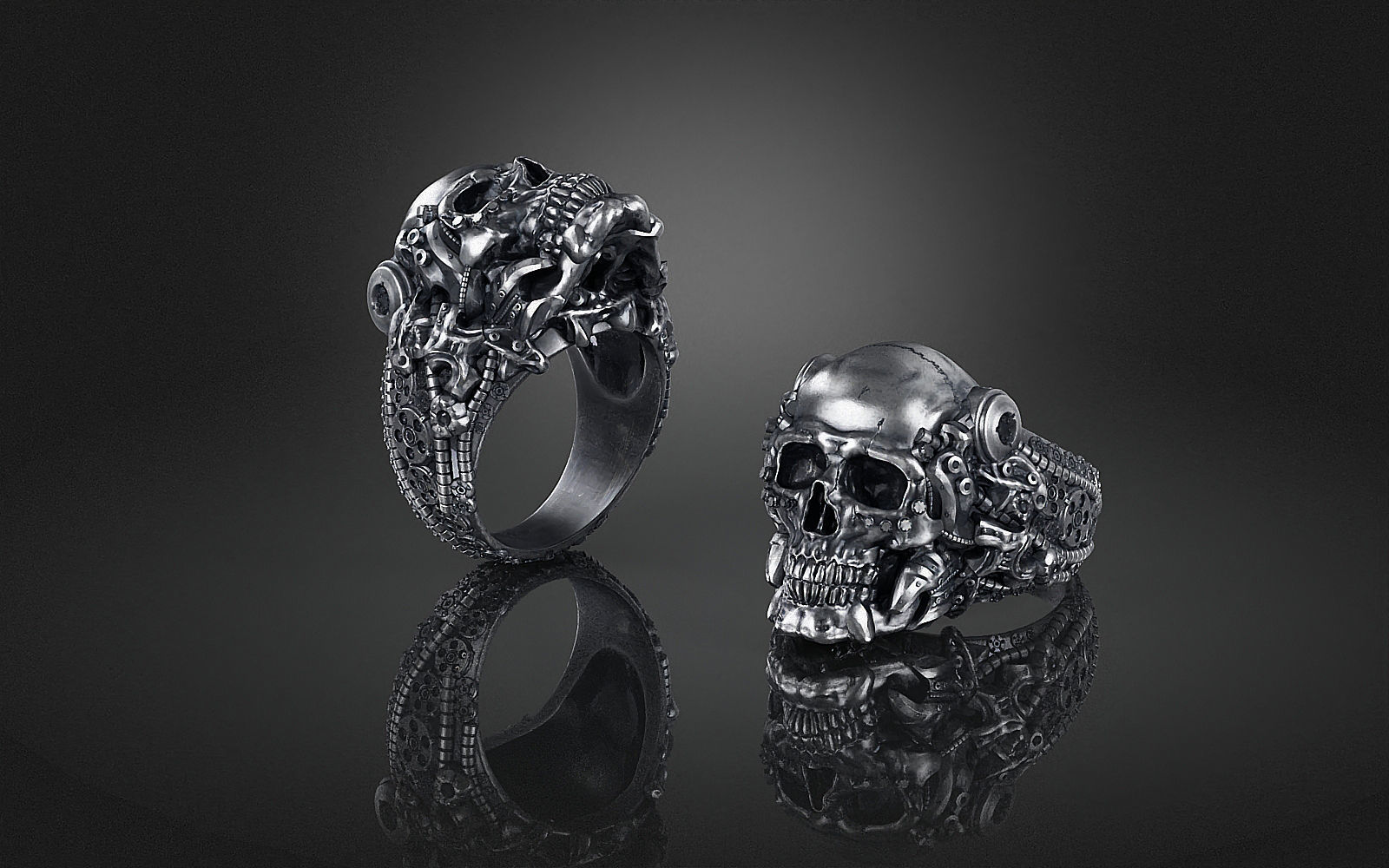 Ring Skull Biomechanical a04 3D print model_15