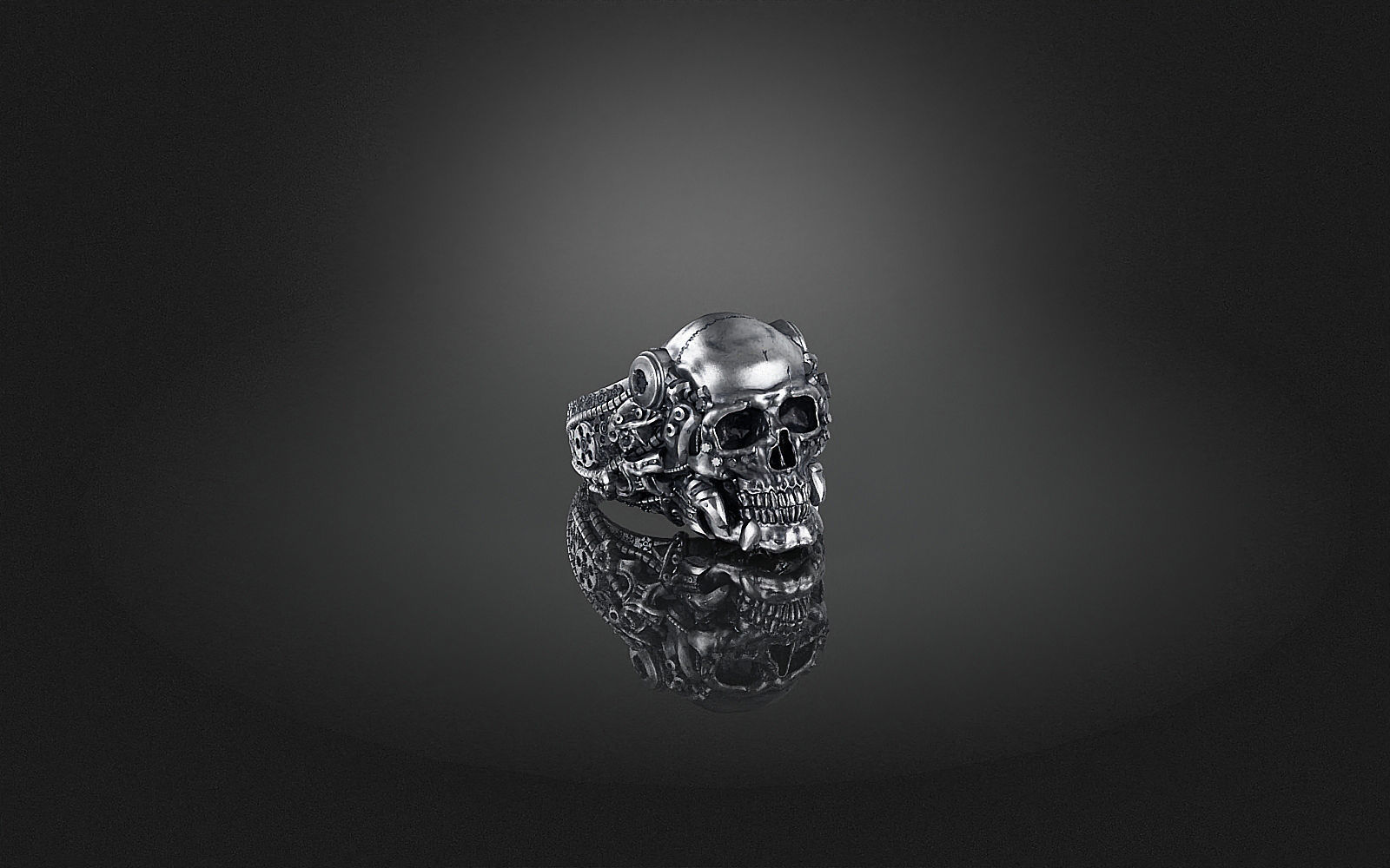Ring Skull Biomechanical a04 3D print model_10