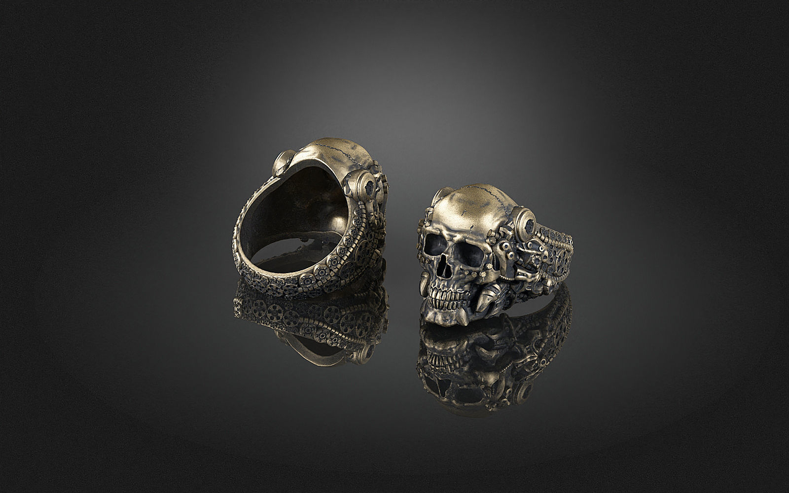 Ring Skull Biomechanical a04 3D print model_13