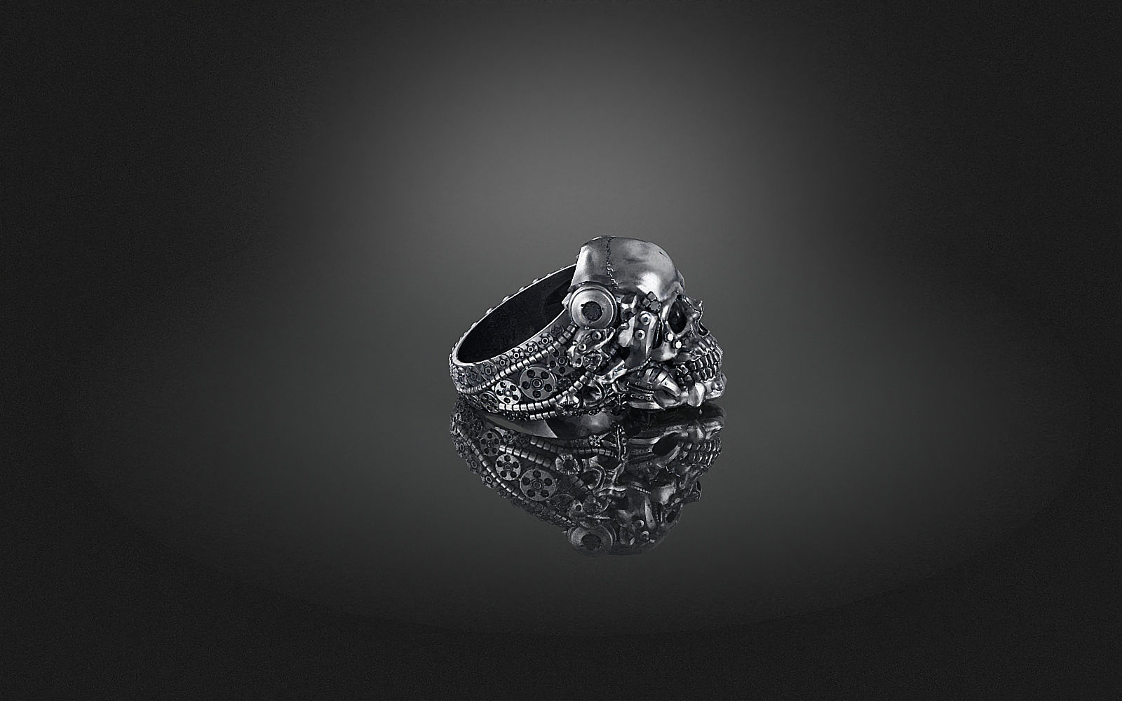 Ring Skull Biomechanical a04 3D print model_11