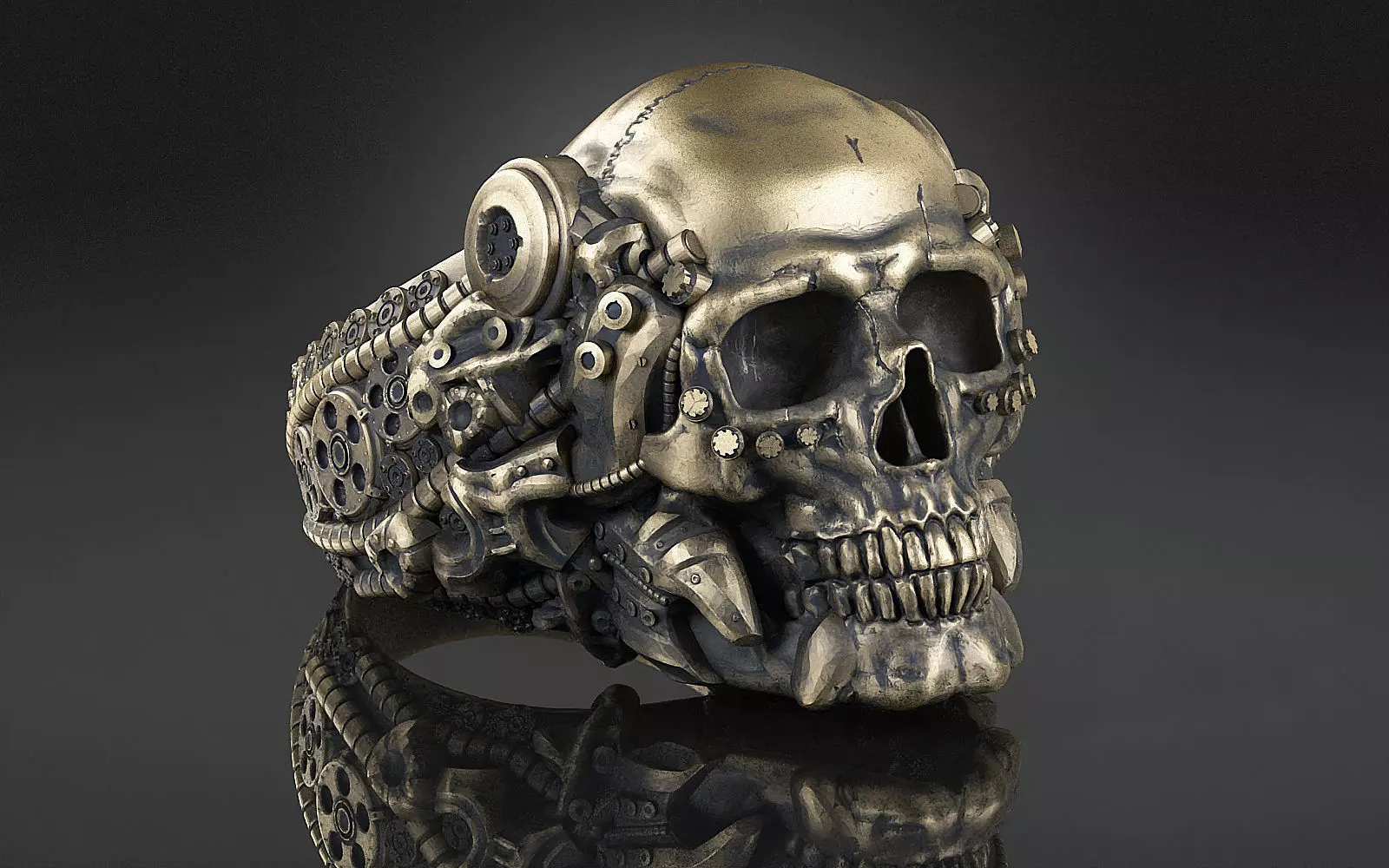 Ring Skull Biomechanical a04 3D print model_0