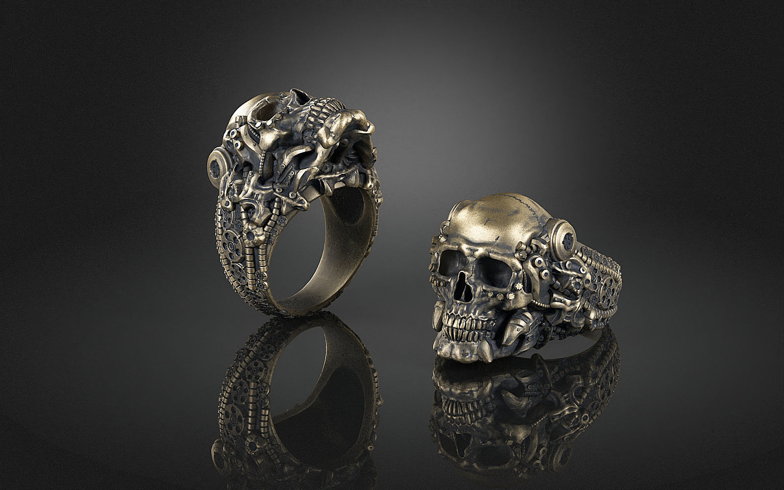 Ring Skull Biomechanical a04 3D print model_14