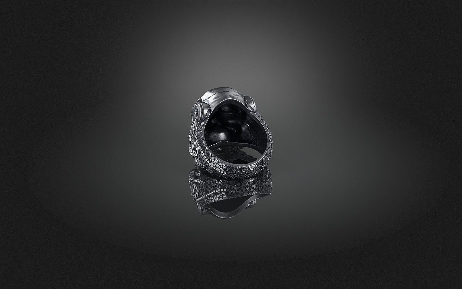 Ring Skull Biomechanical a04 3D print model_12