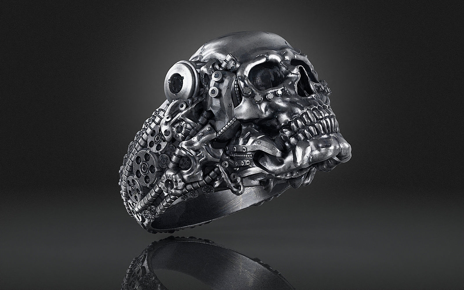 Ring Skull Biomechanical a04 3D print model_8
