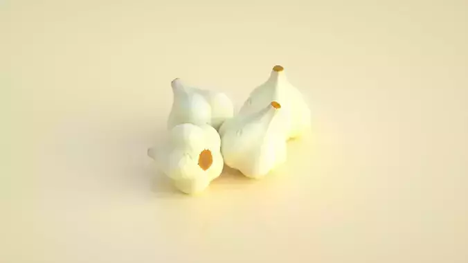  garlic garlic garlic sprouts