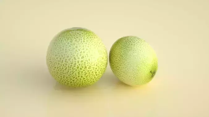  cantaloupe cantaloupe fruit