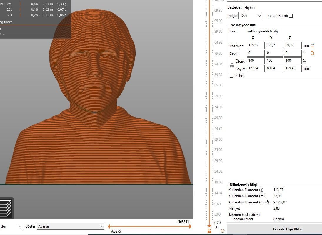 Anthony Kiedis 3D print model_11