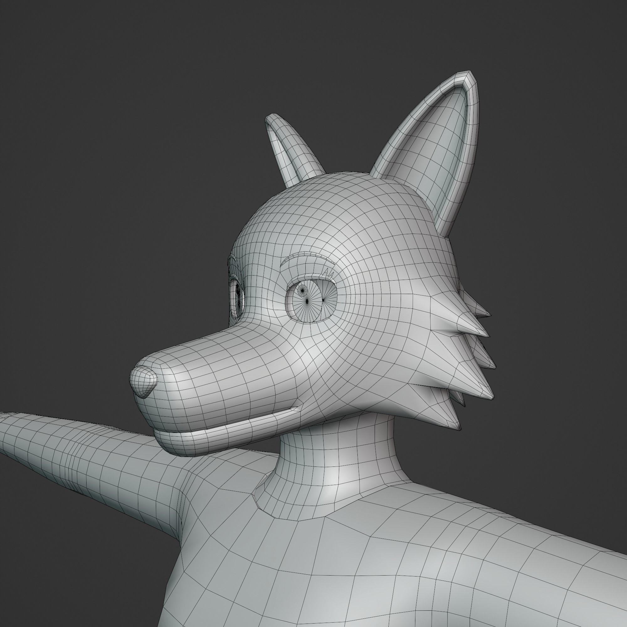 General Furry Wolf Female OC 3D model_8