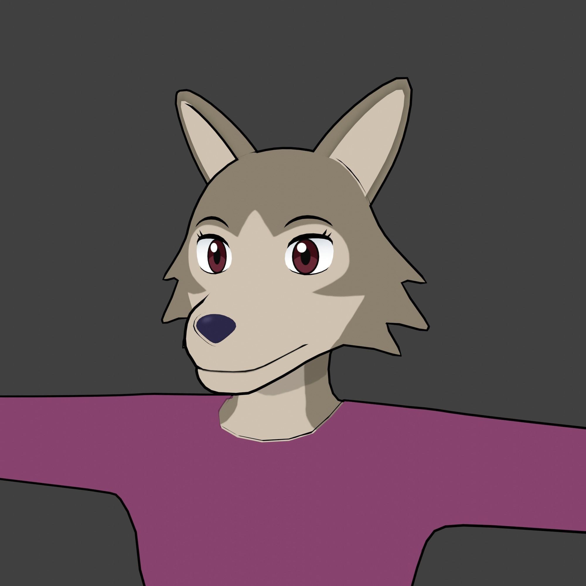 General Furry Wolf Female OC 3D model_4