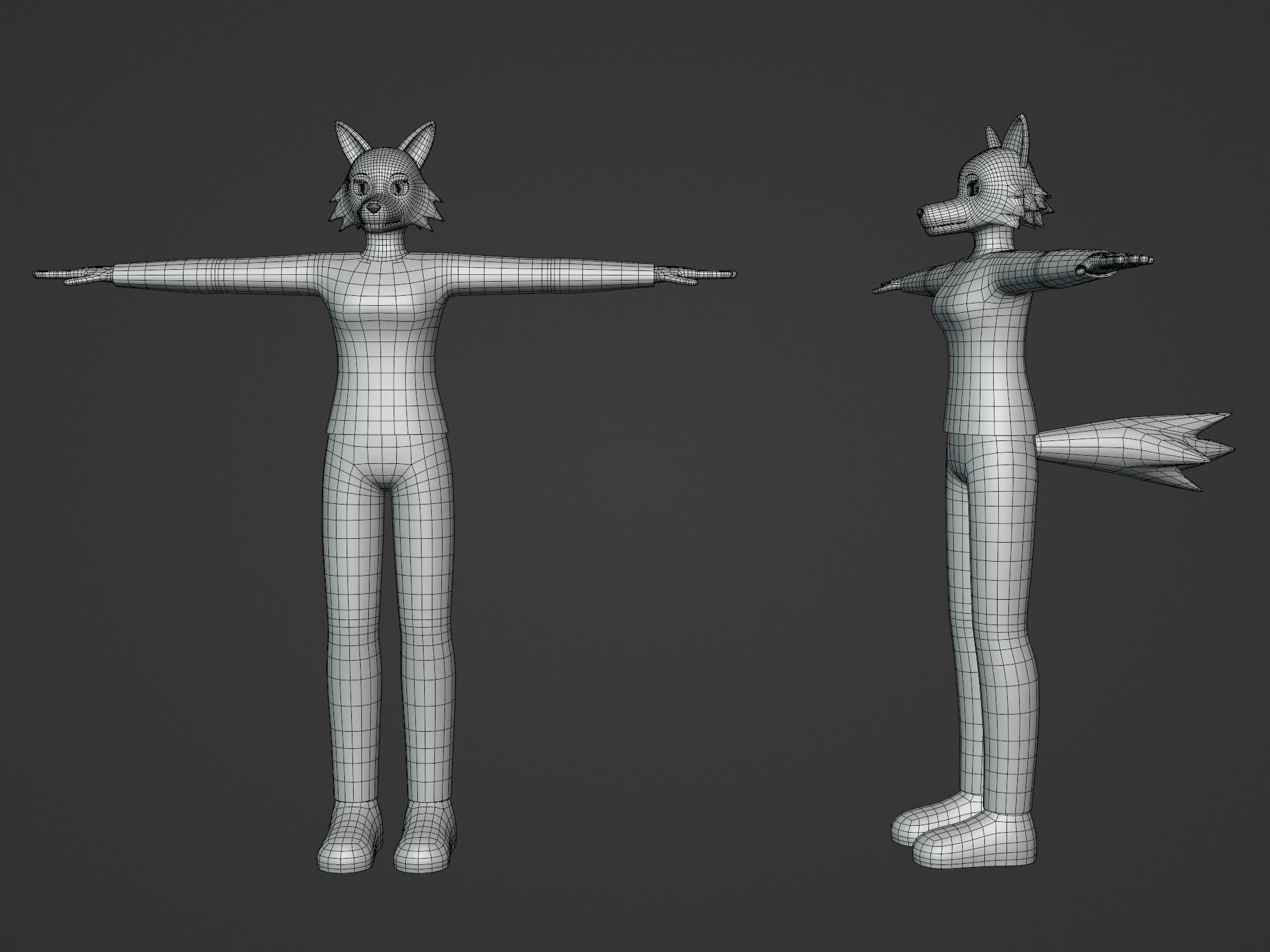 General Furry Wolf Female OC 3D model_2