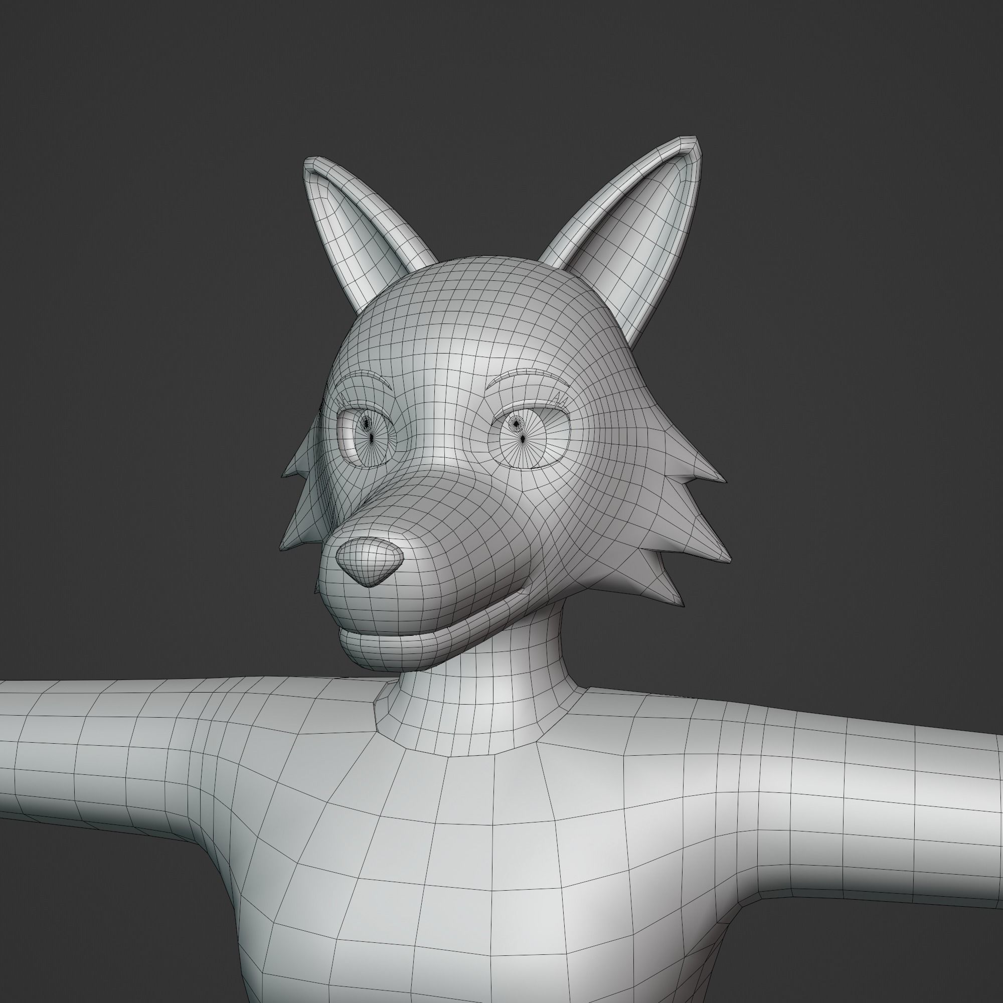 General Furry Wolf Female OC 3D model_5