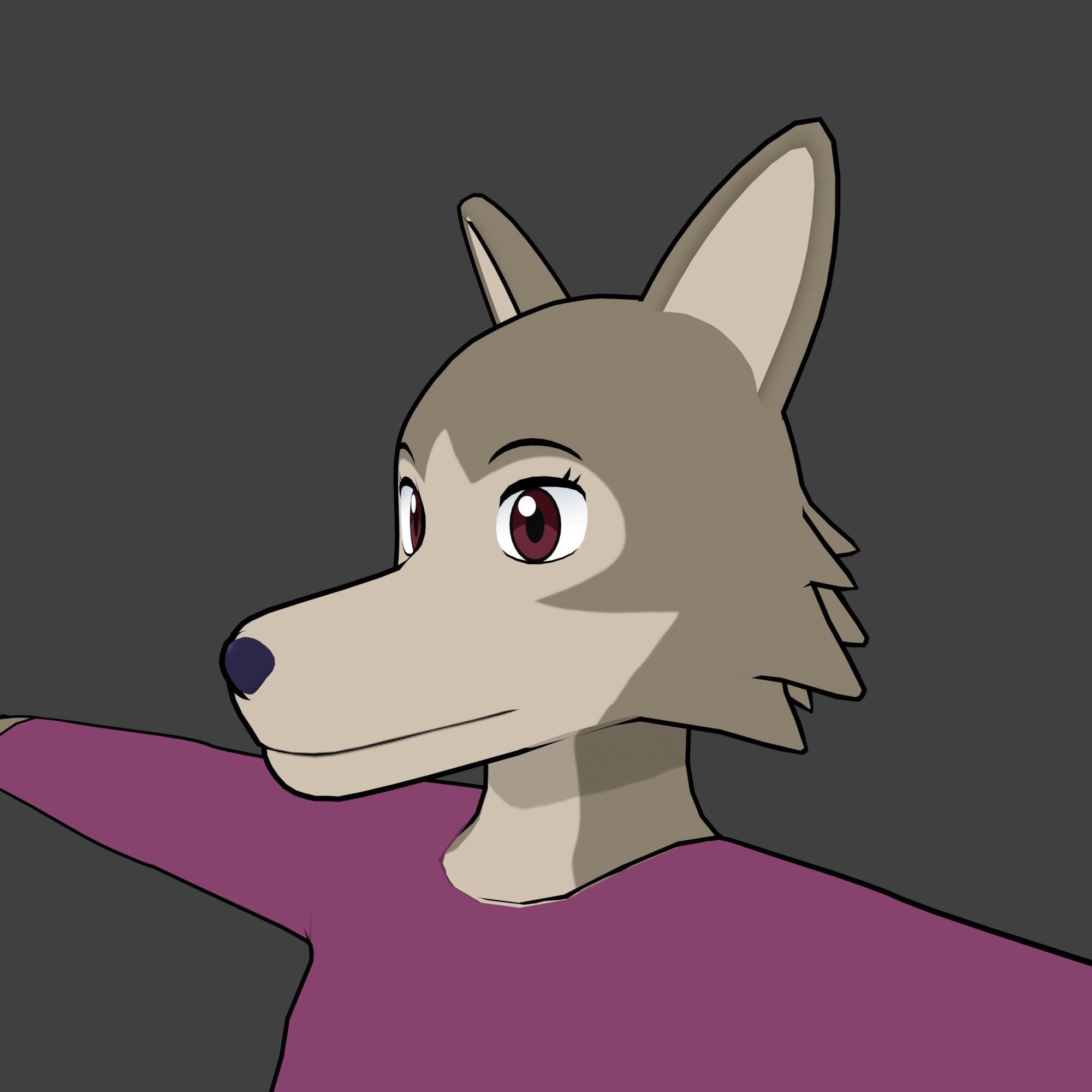 General Furry Wolf Female OC 3D model_7