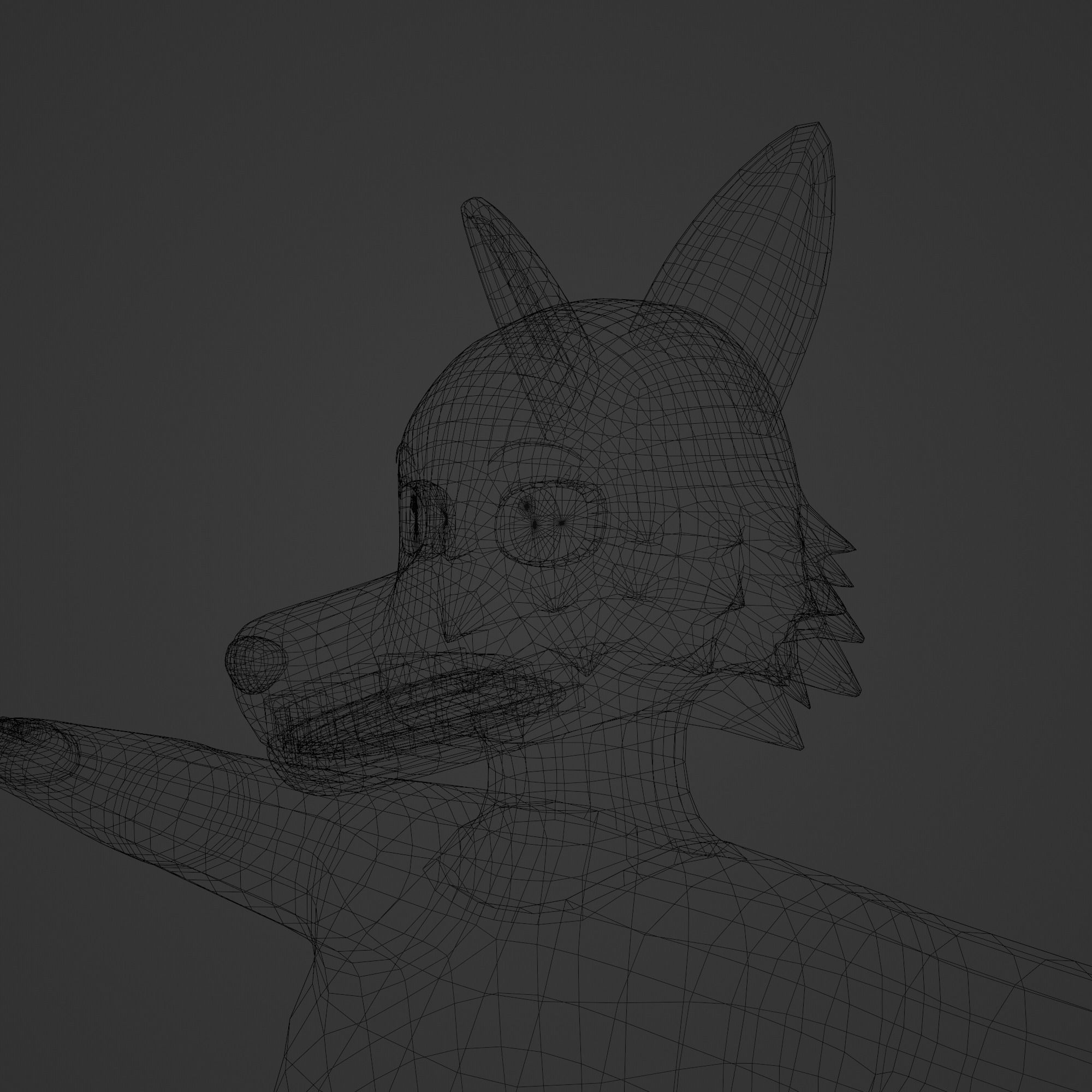General Furry Wolf Female OC 3D model_9