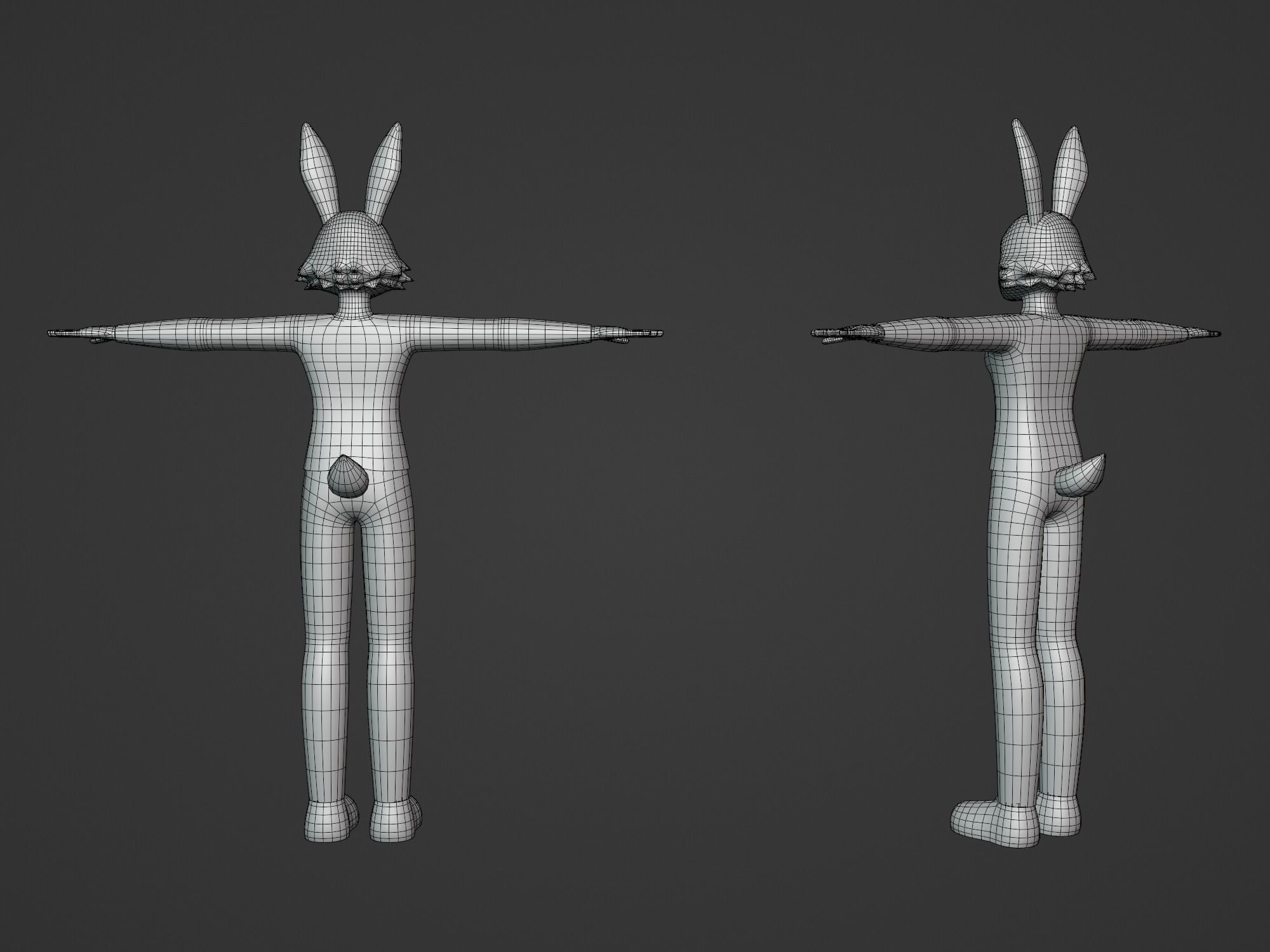 General Furry Rabbit Female OC 3D model_3