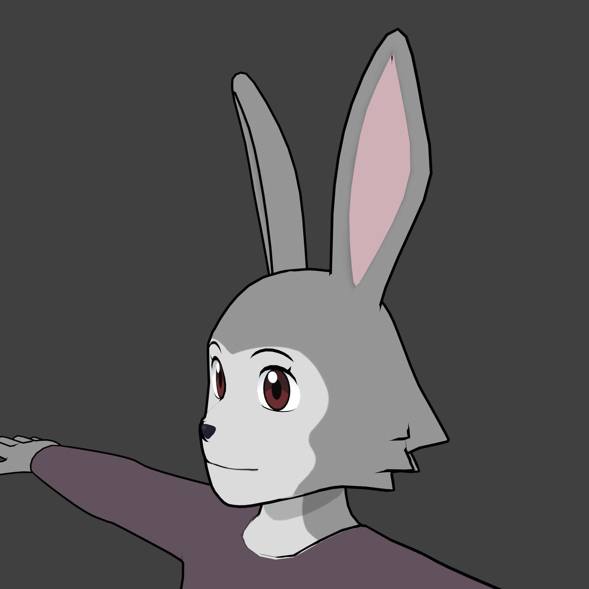 General Furry Rabbit Female OC 3D model_7