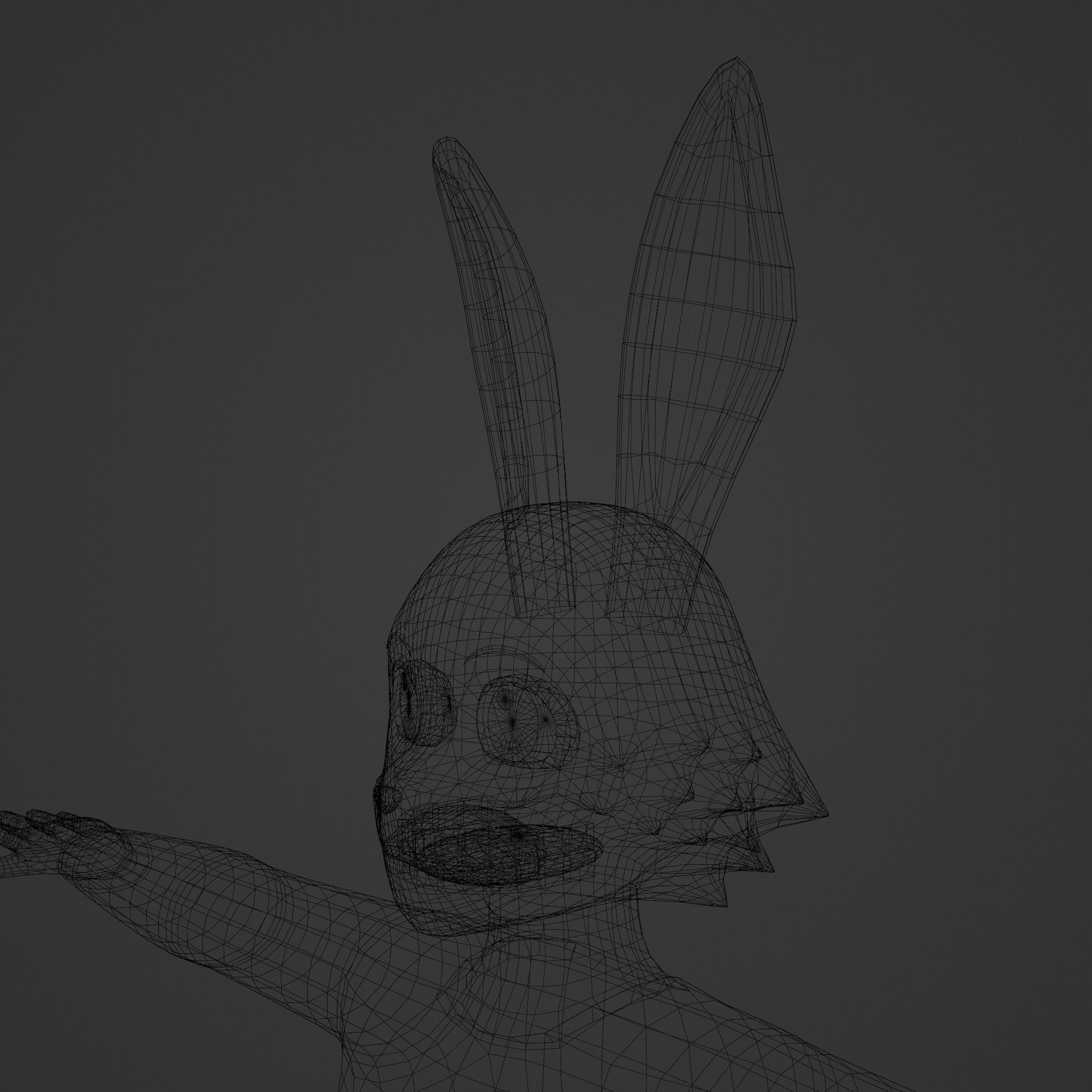 General Furry Rabbit Female OC 3D model_9