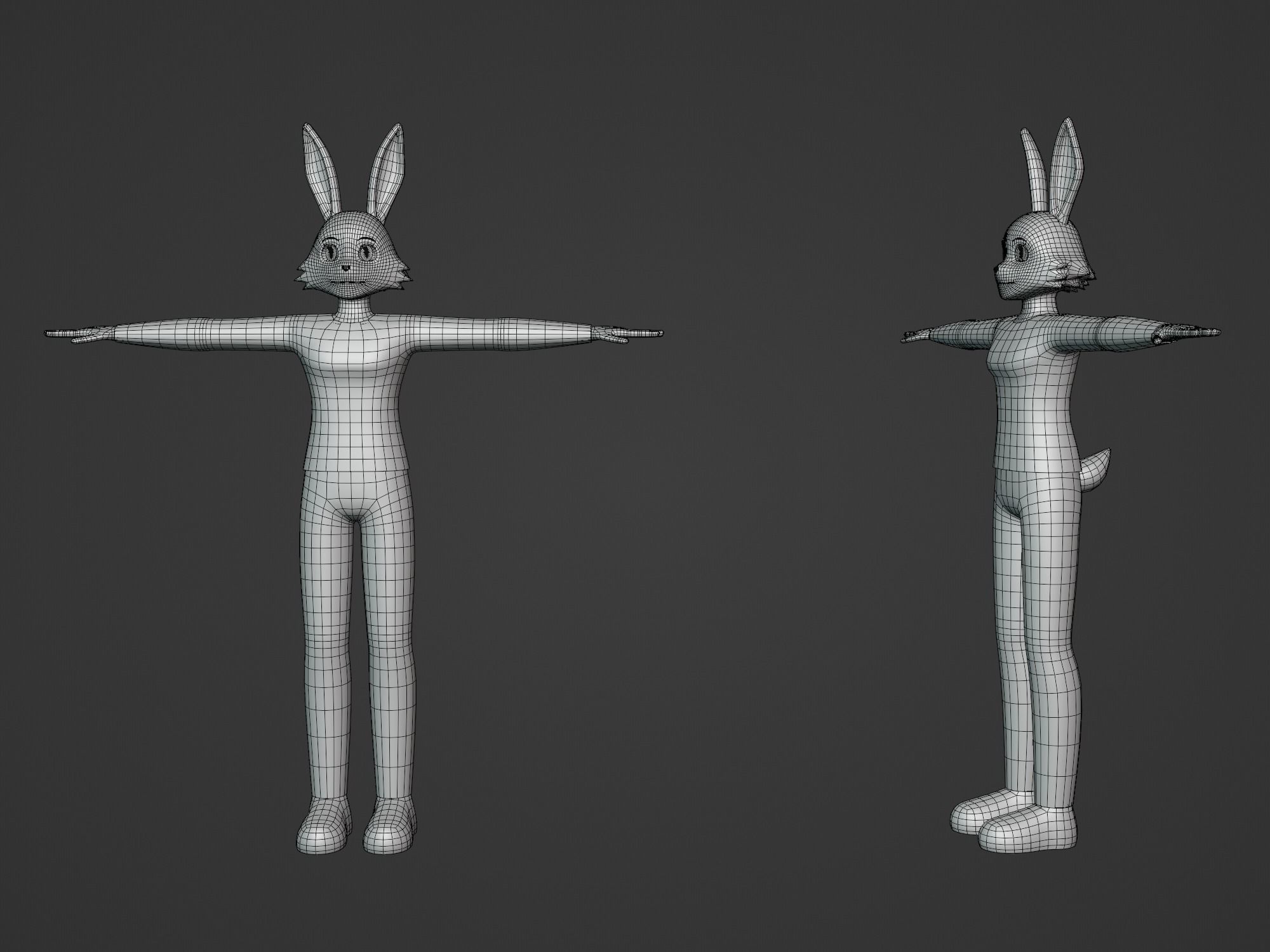 General Furry Rabbit Female OC 3D model_2