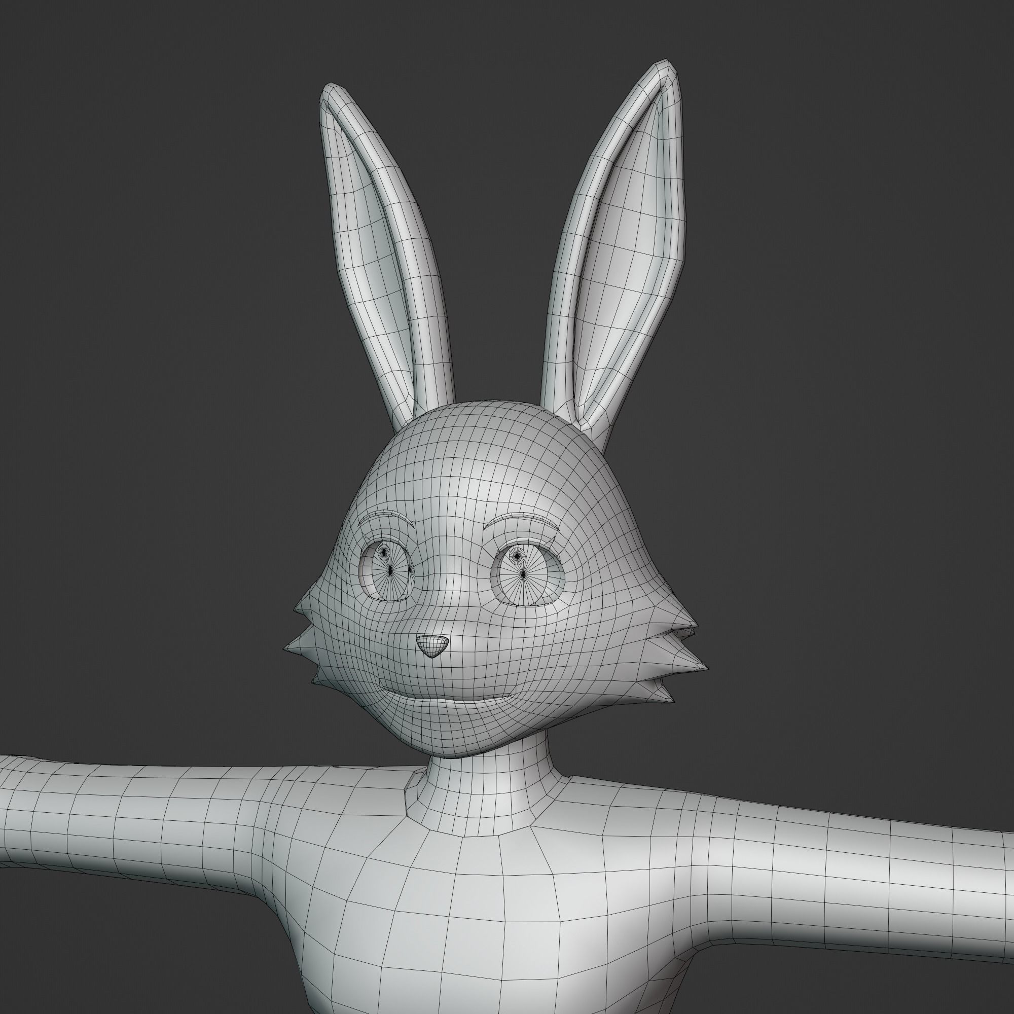 General Furry Rabbit Female OC 3D model_5