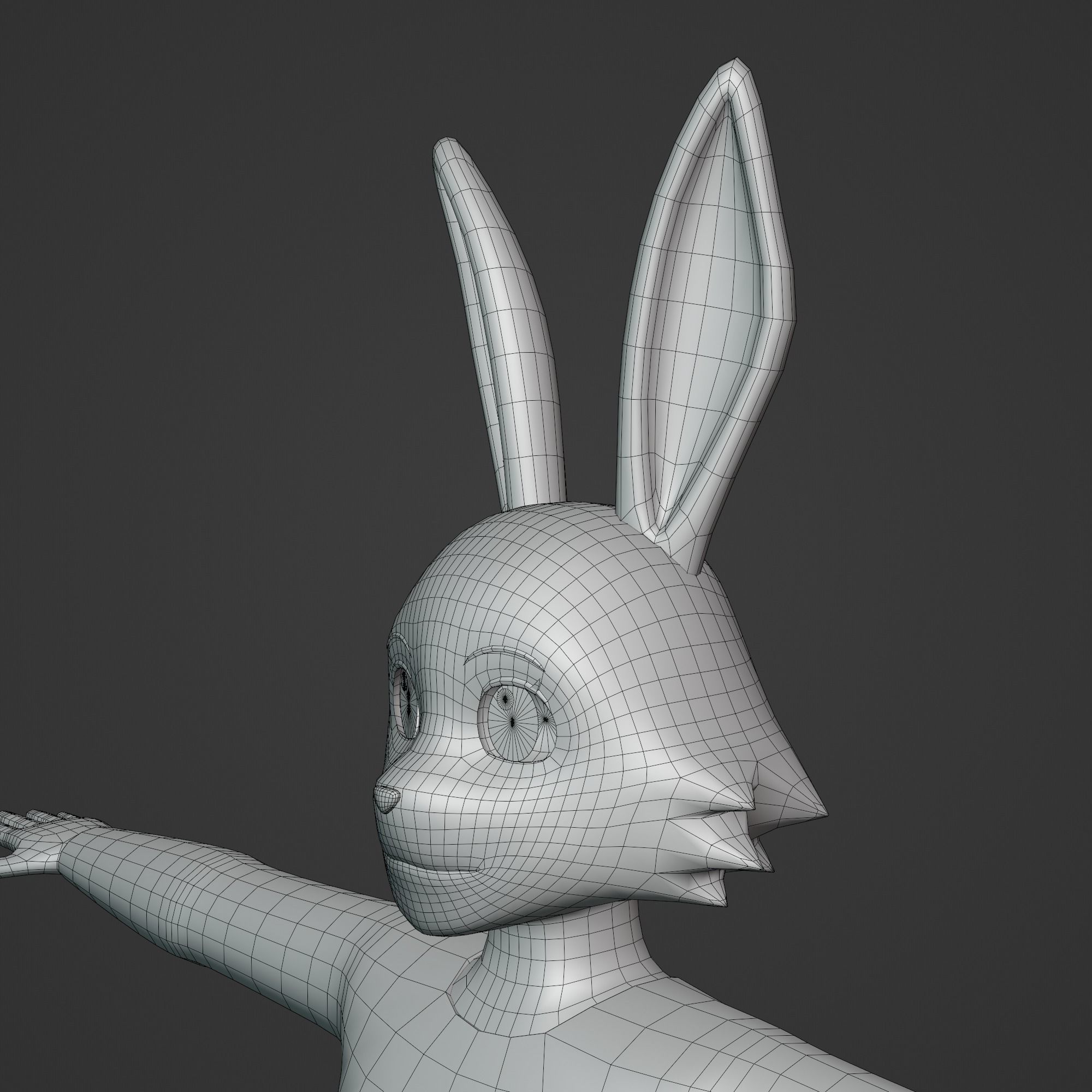 General Furry Rabbit Female OC 3D model_8