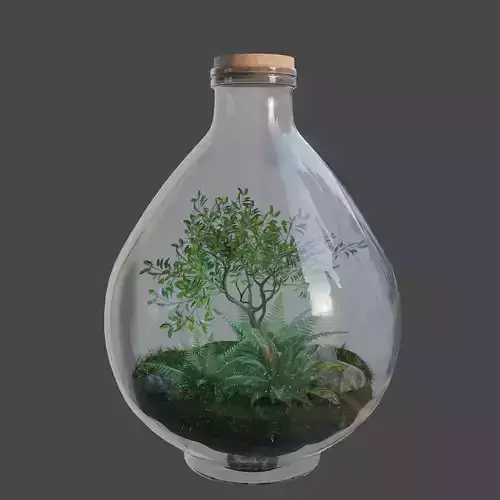Florarium terrarium in bottle
