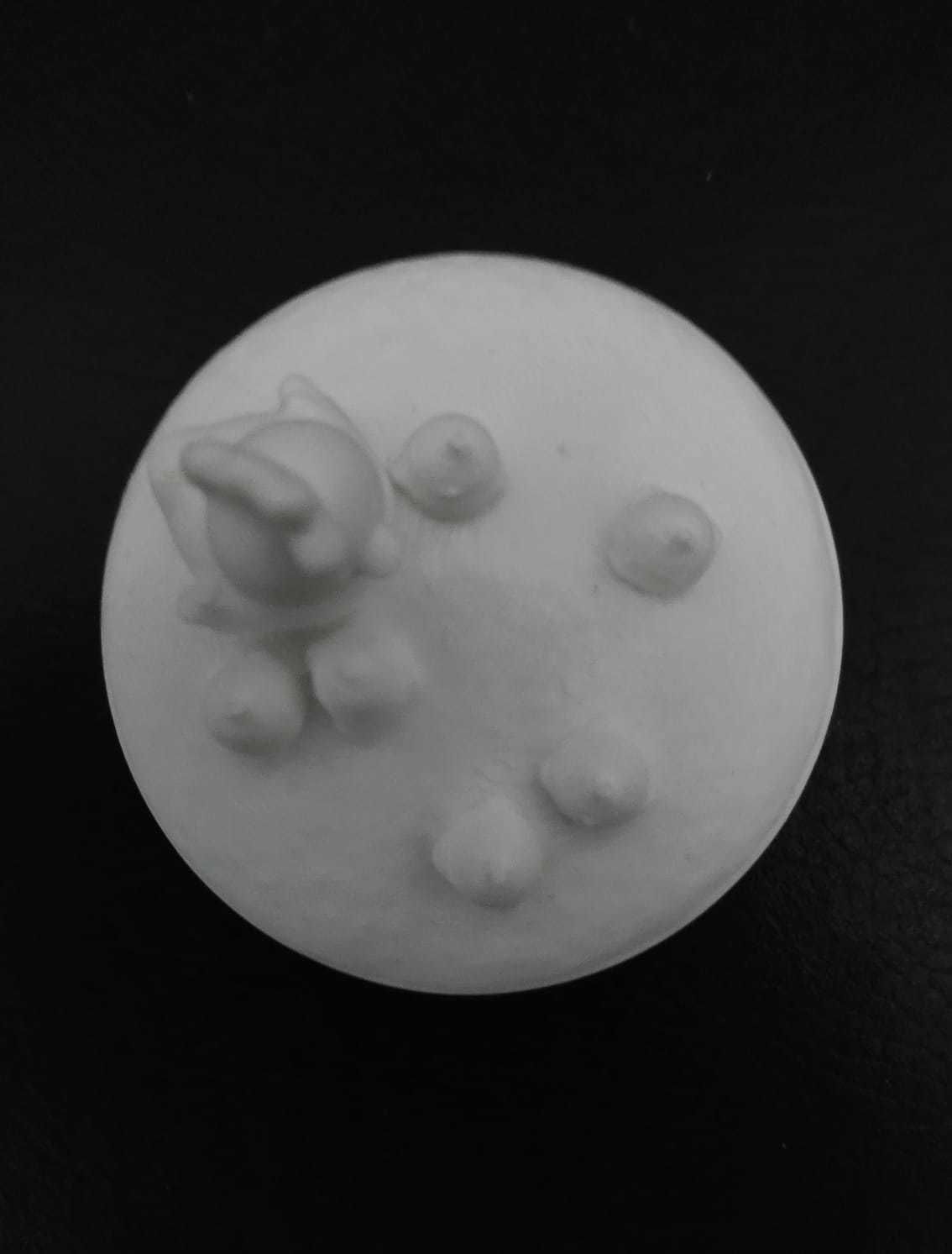 Hen and Cute Chicks 3D print model_17