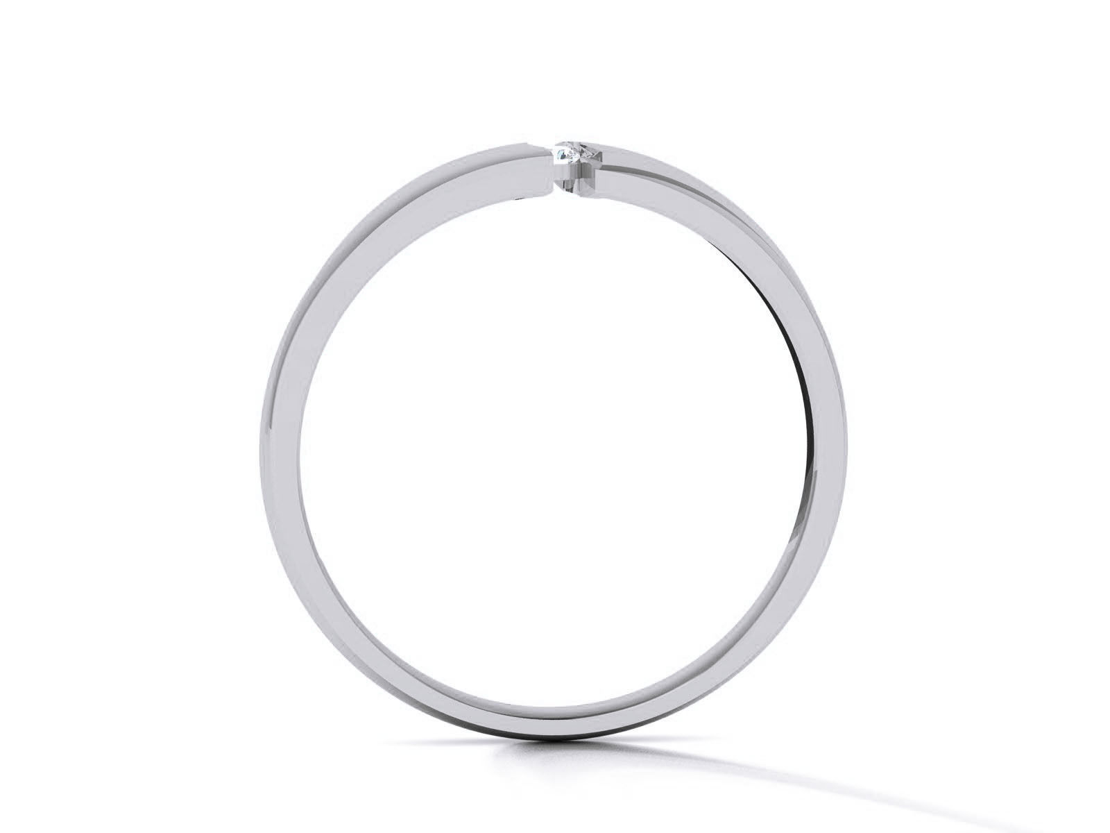 Ring - 8561 3D print model_1