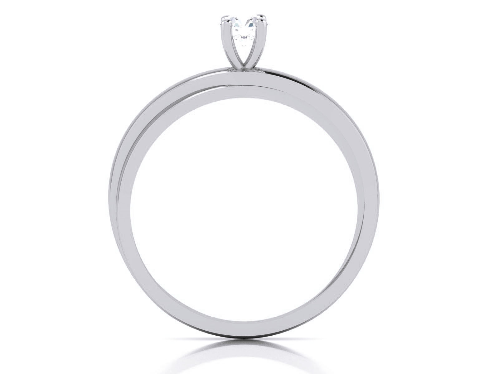 Ring -  7576 3D print model_1