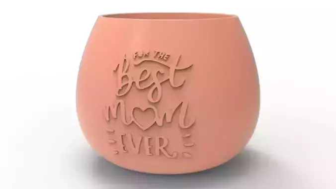 Flower Pot Gift
