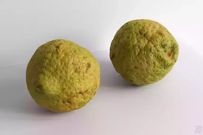 Etrog