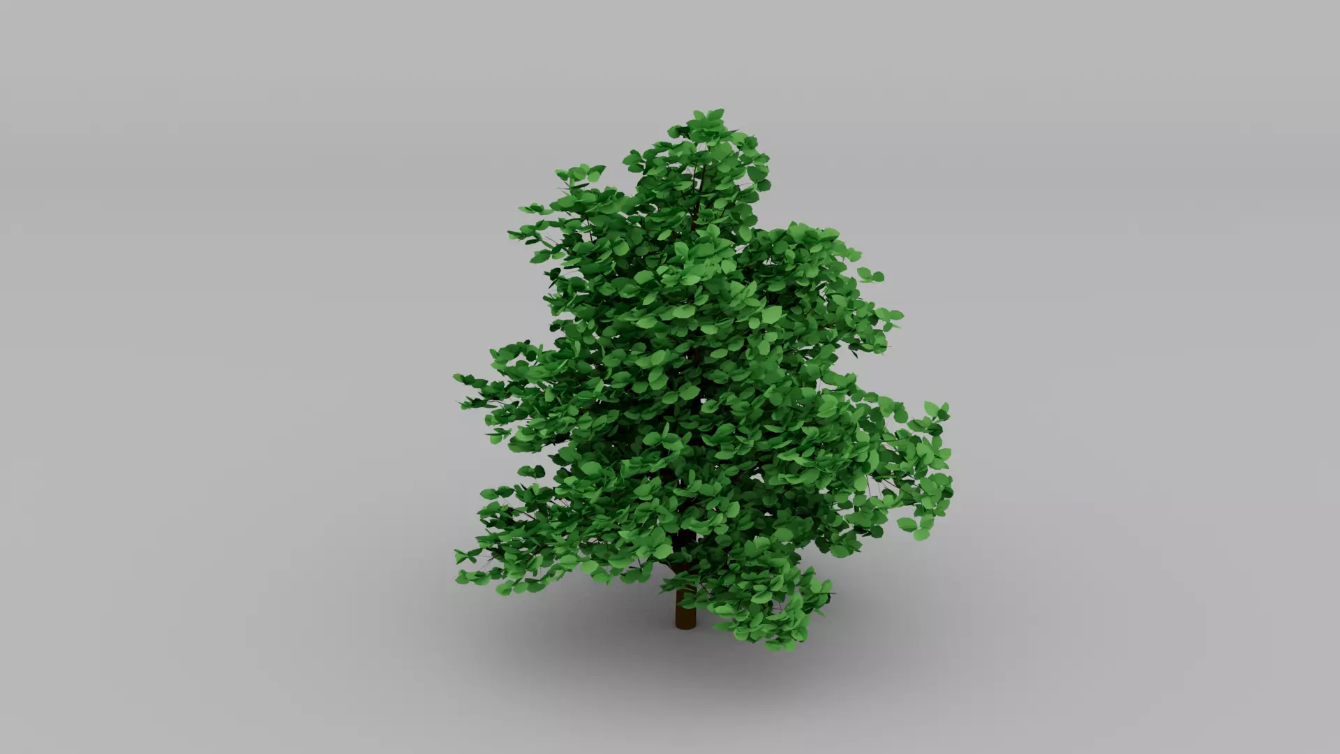 General Bush Free low-poly 3D model_0