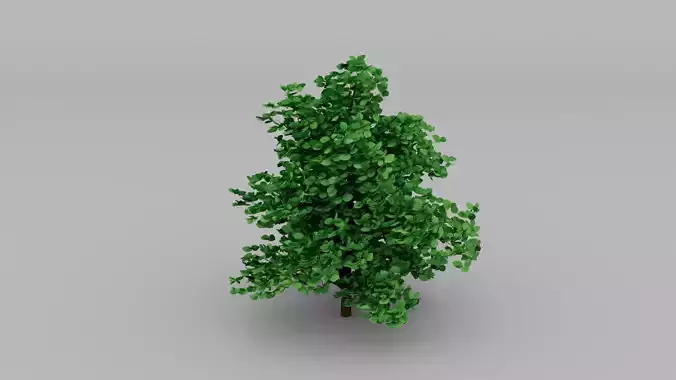 General Bush Free low-poly 3D model