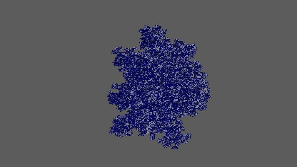 General Bush Free low-poly 3D model_3