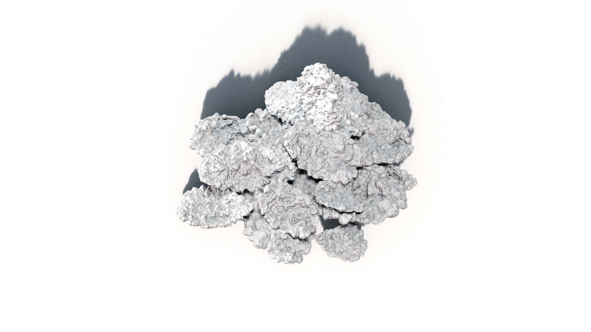 3D Cornflakes 3D model_14