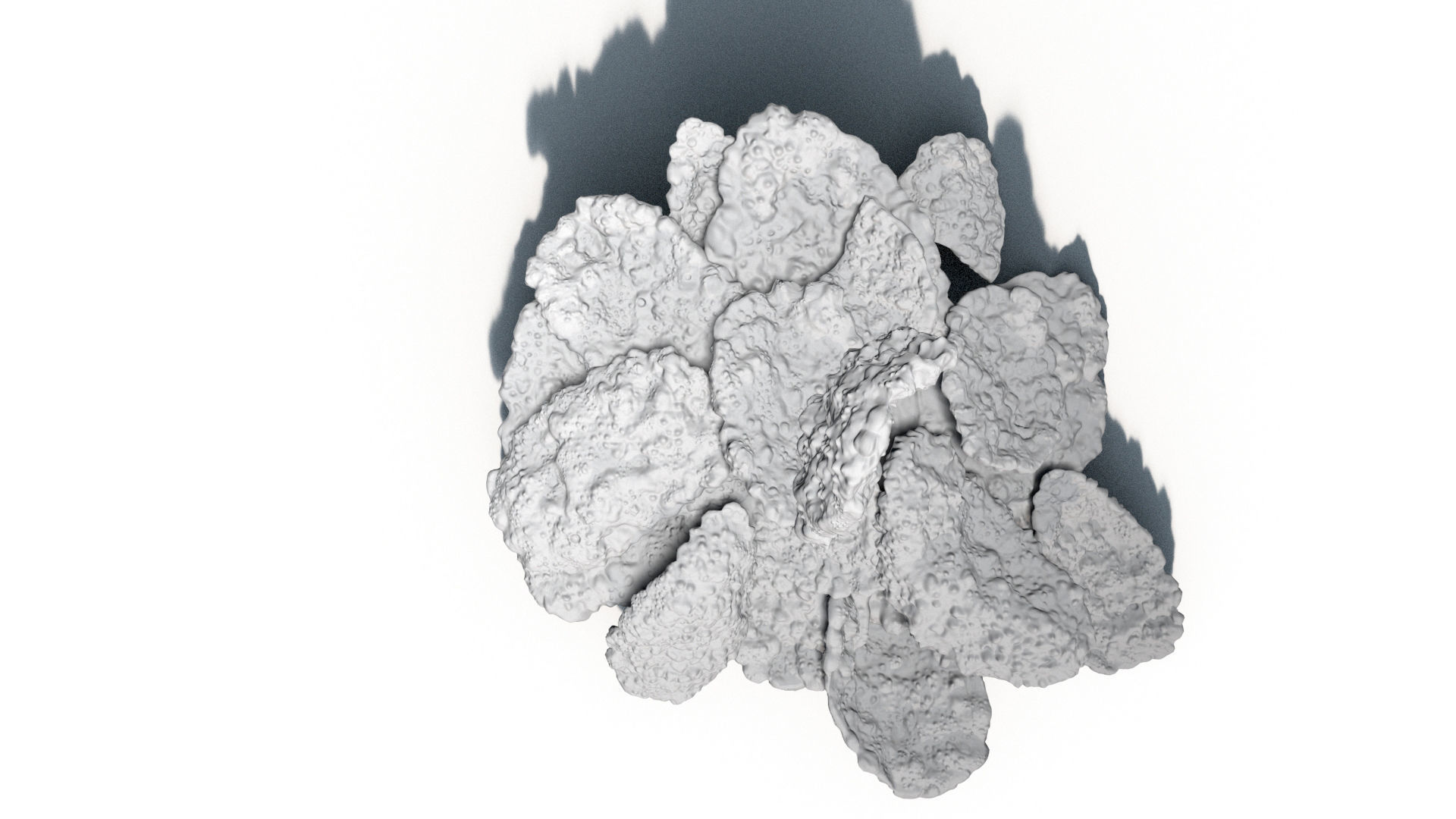 3D Cornflakes 3D model_13