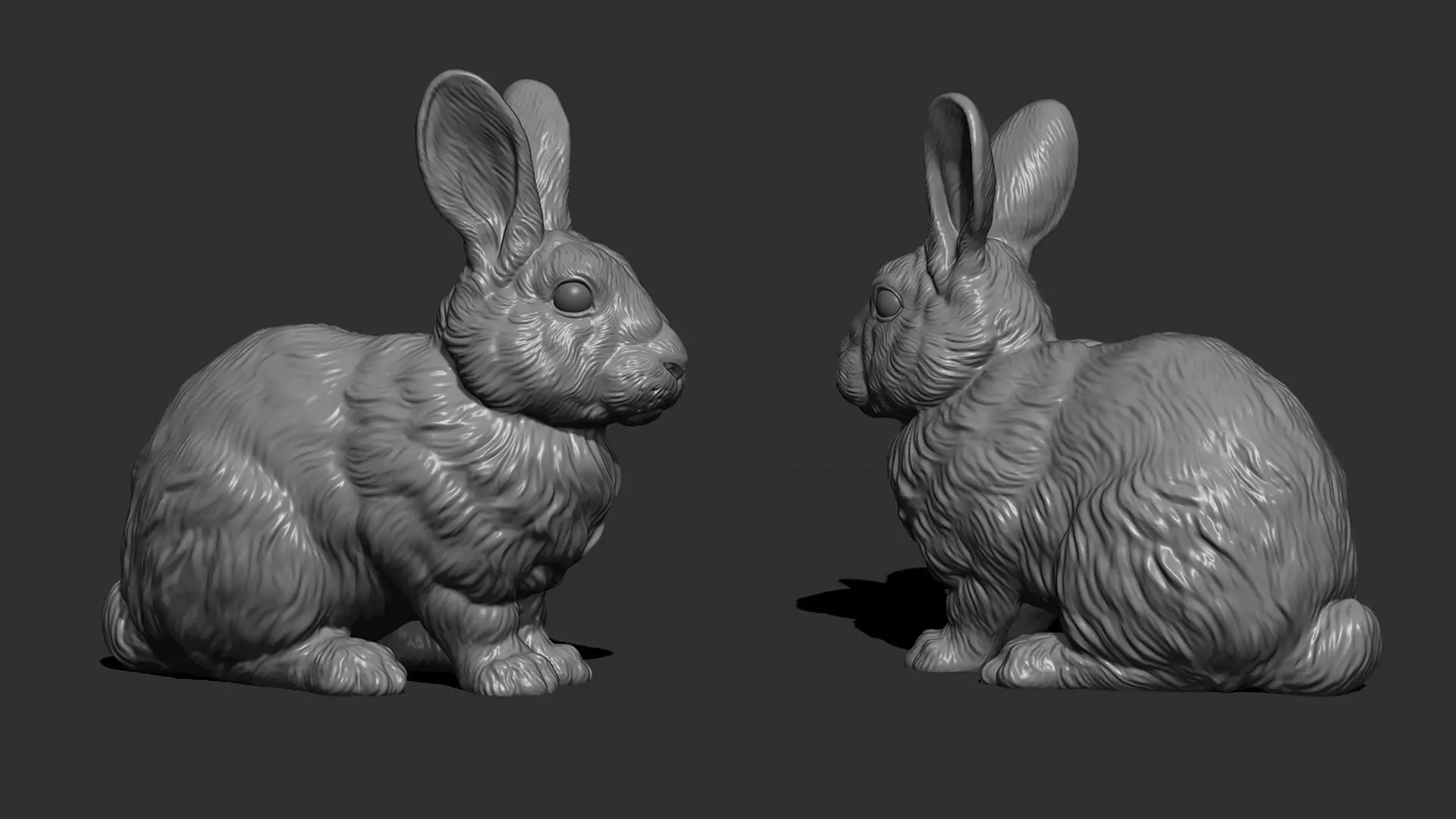 Bunny silver rabbit 3D print model