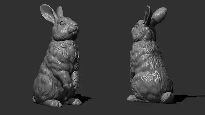 Rabbit  bunny 3D print model