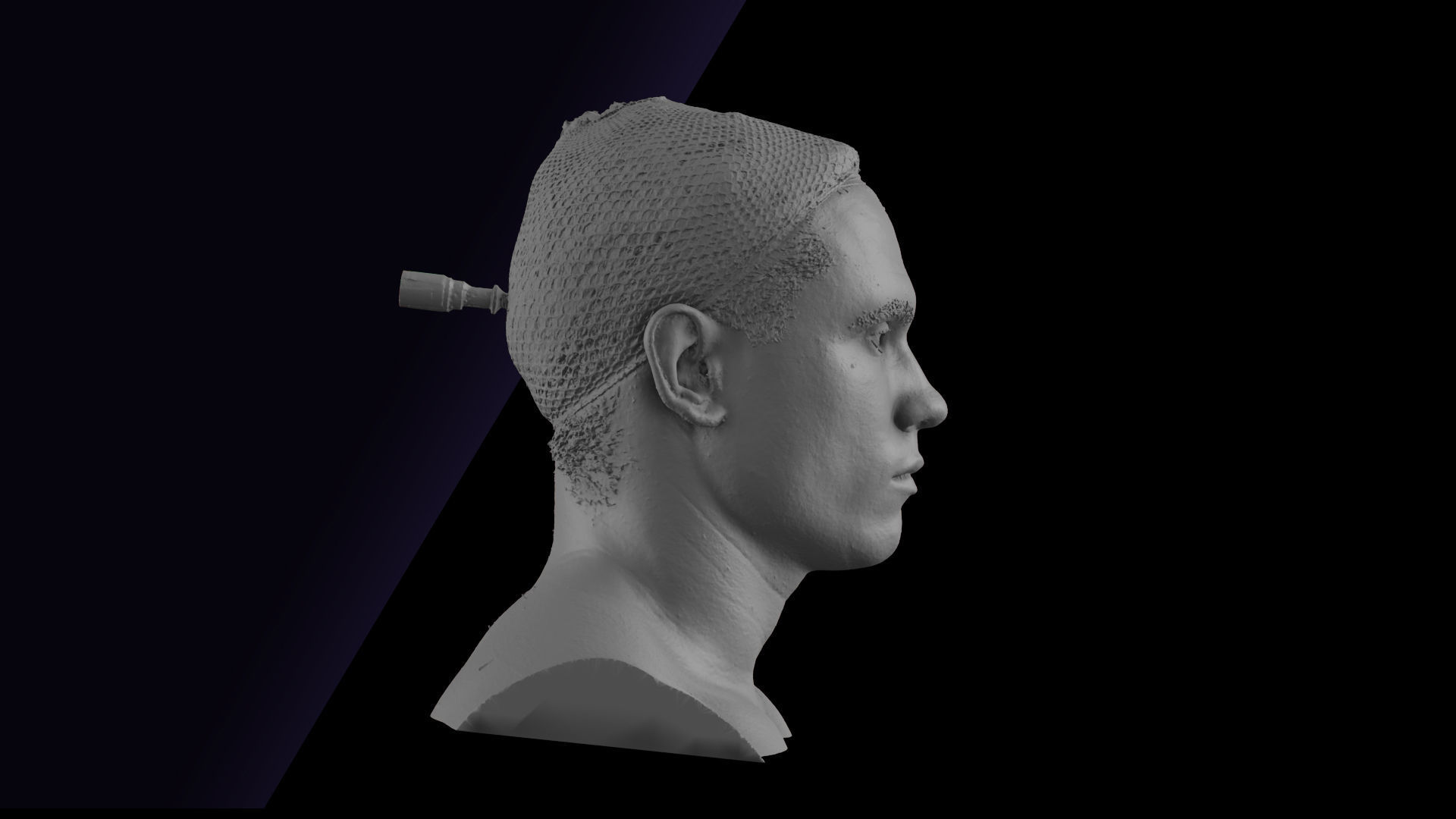 Raw Head Scan Gilbert 3D model_6