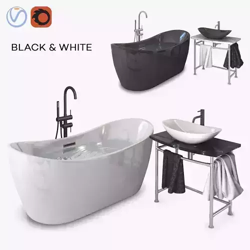 Bath and Washbasin in black and white
