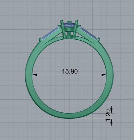 Jewelry Ring 3d print model 3D print model_1