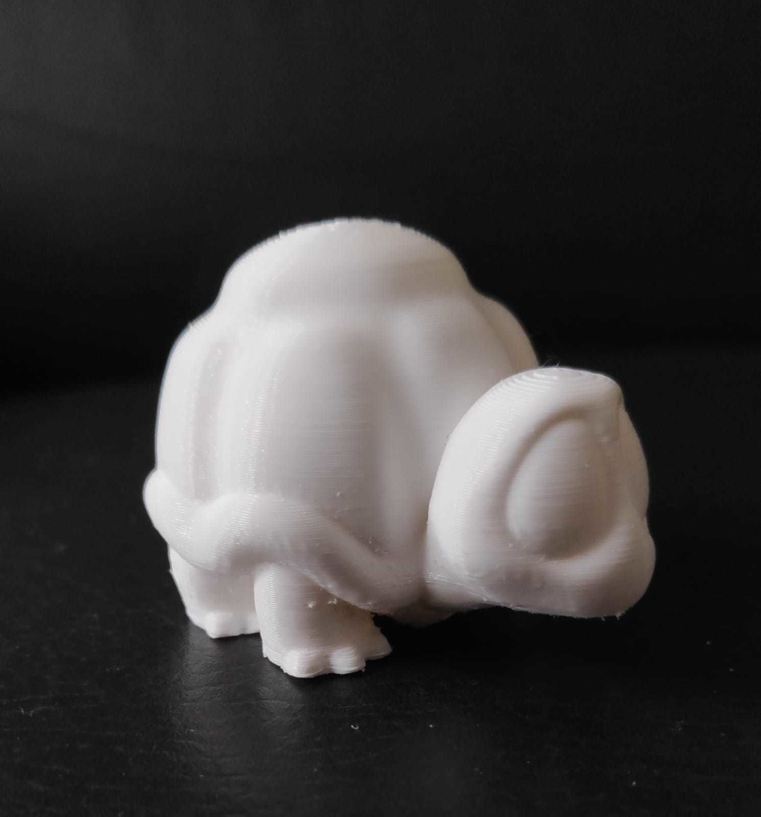 Turtle Cartoon 3D print model_9