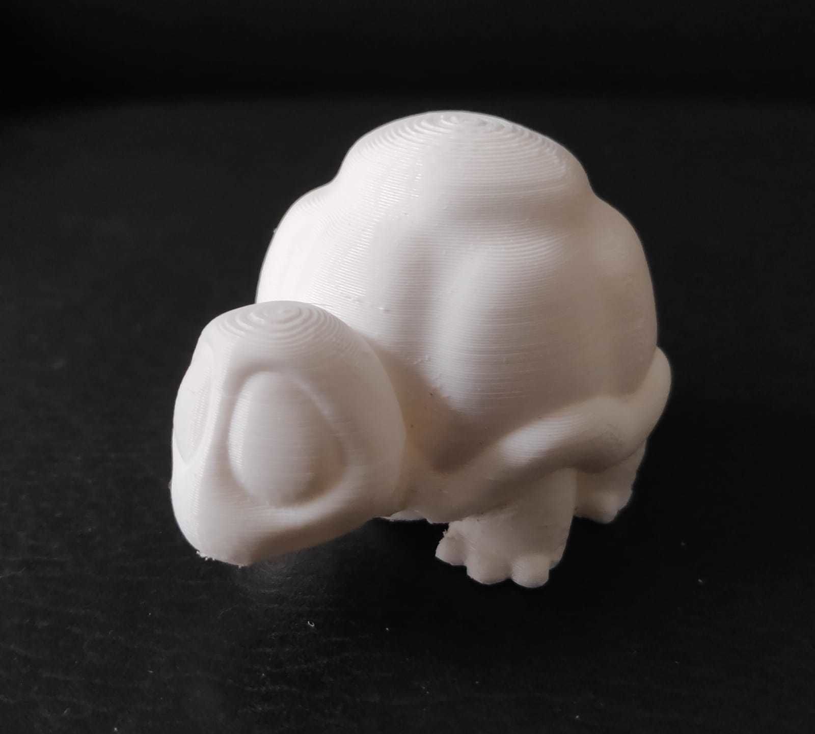 Turtle Cartoon 3D print model_5
