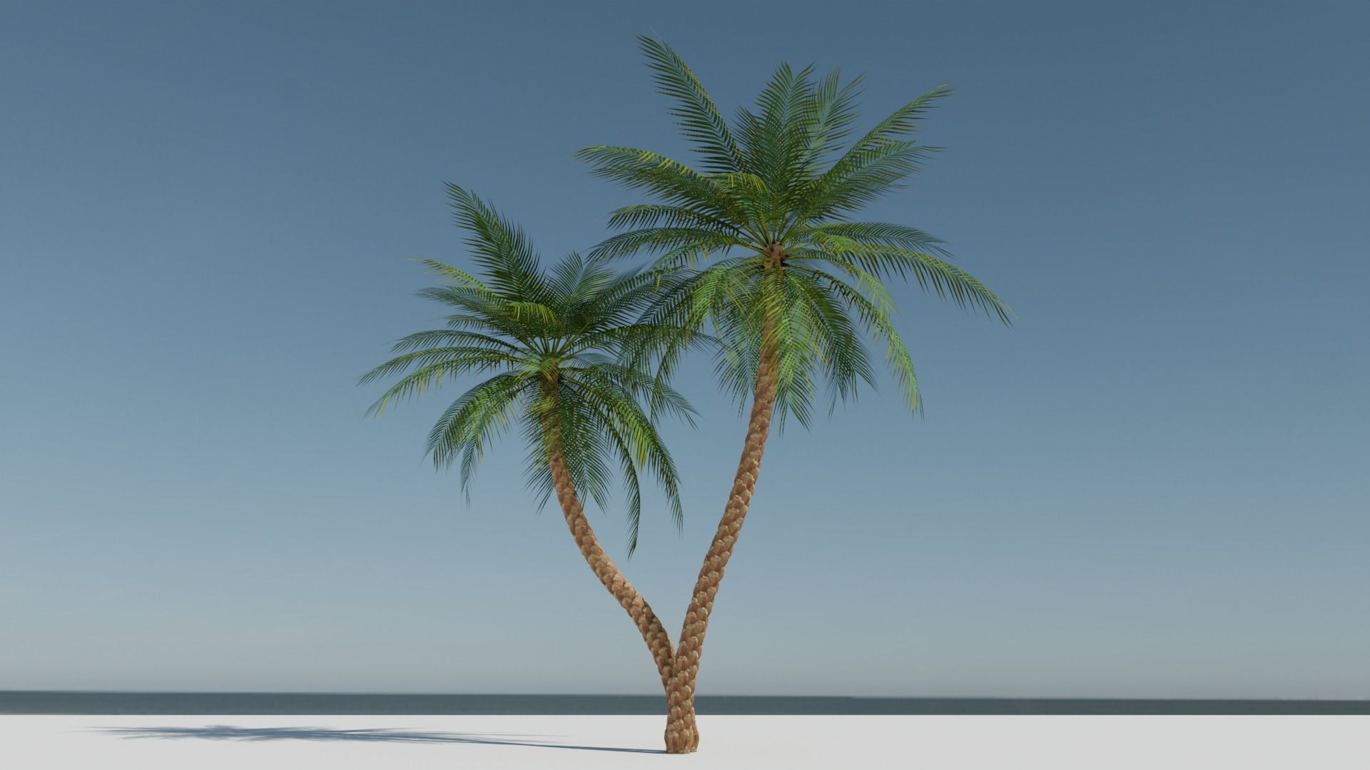 Date Palm v5 Low-poly 3D model_8