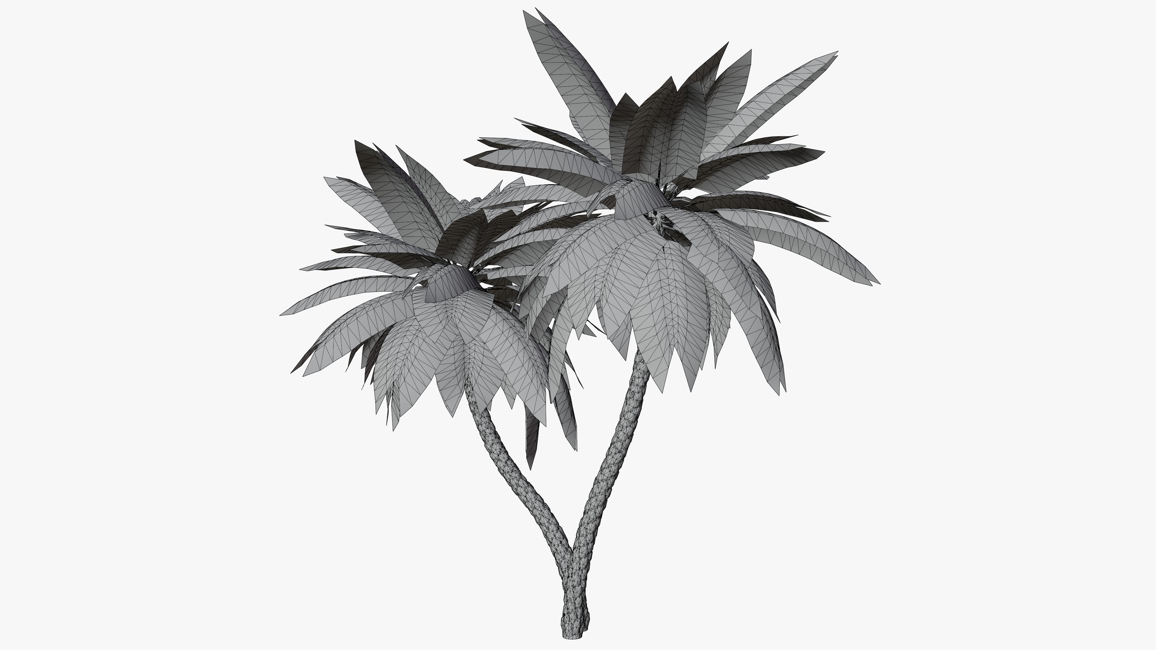 Date Palm v5 Low-poly 3D model_7