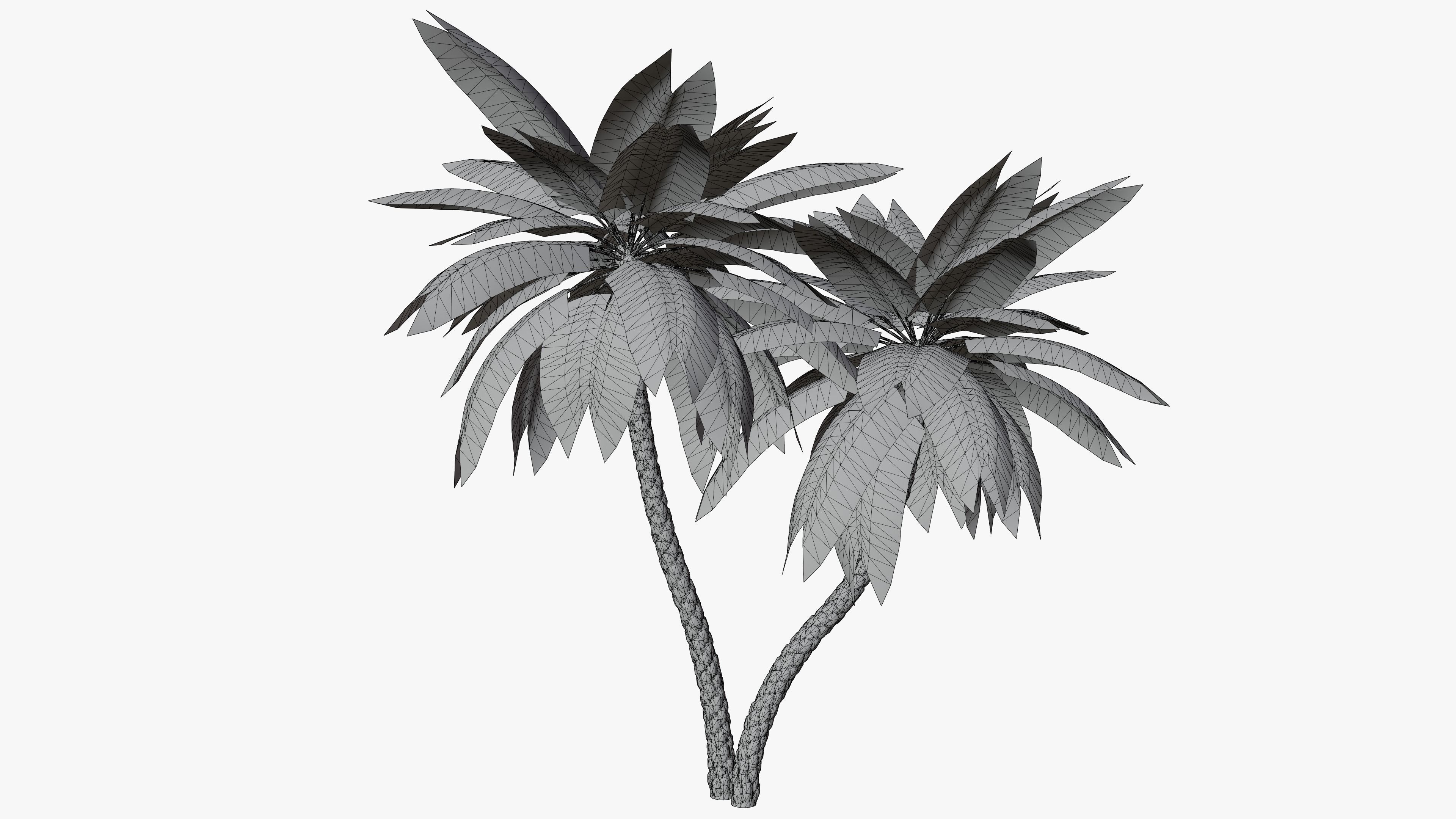 Date Palm v5 Low-poly 3D model_3
