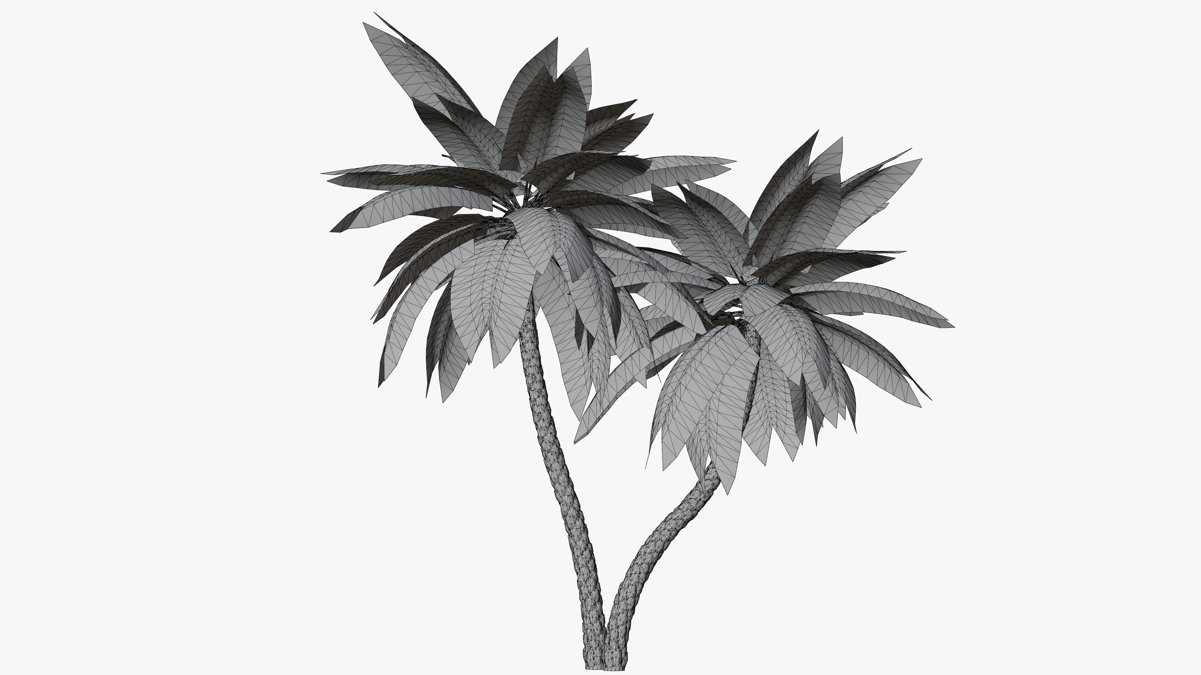 Date Palm v5 Low-poly 3D model_11