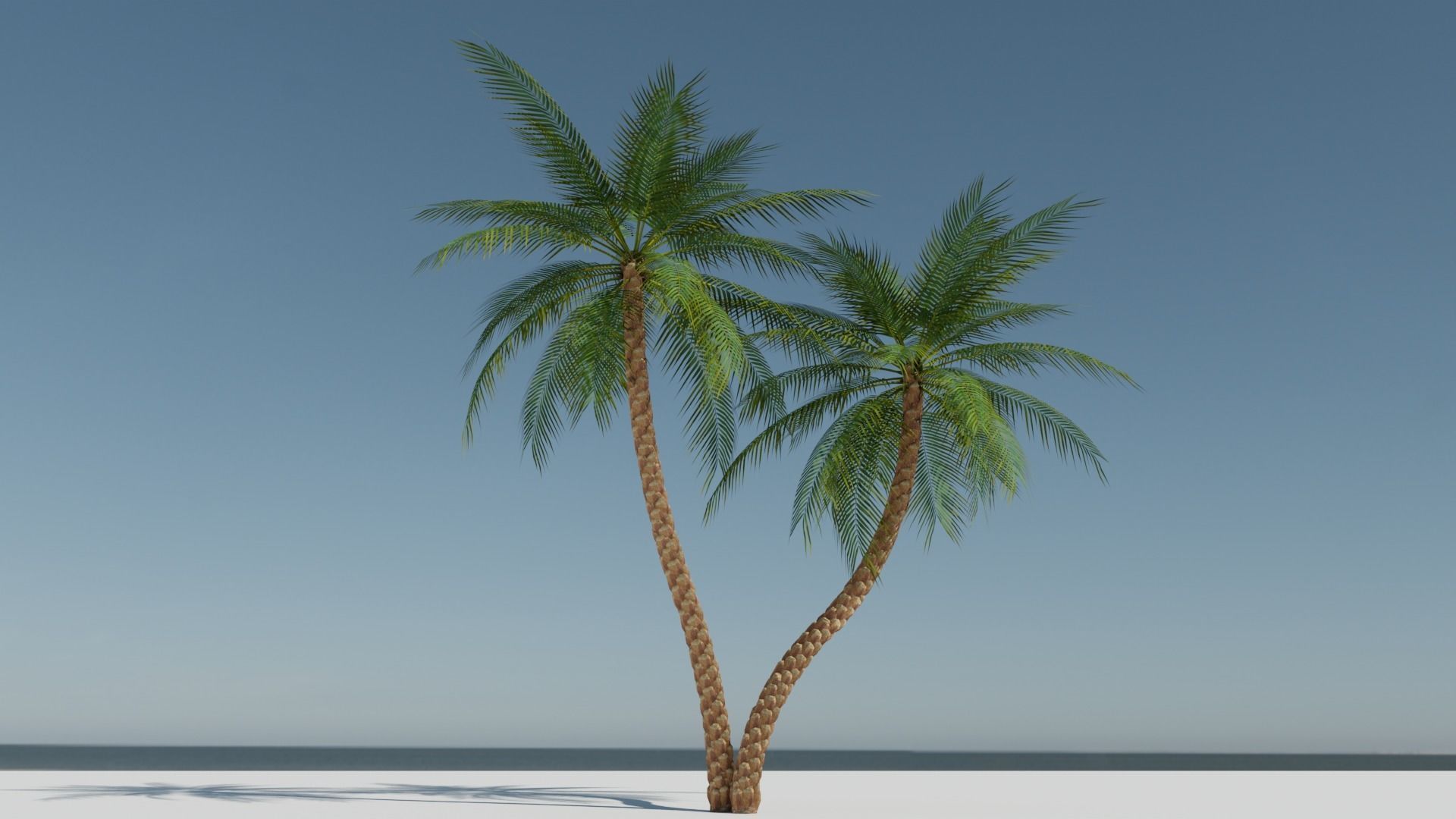 Date Palm v5 Low-poly 3D model_10