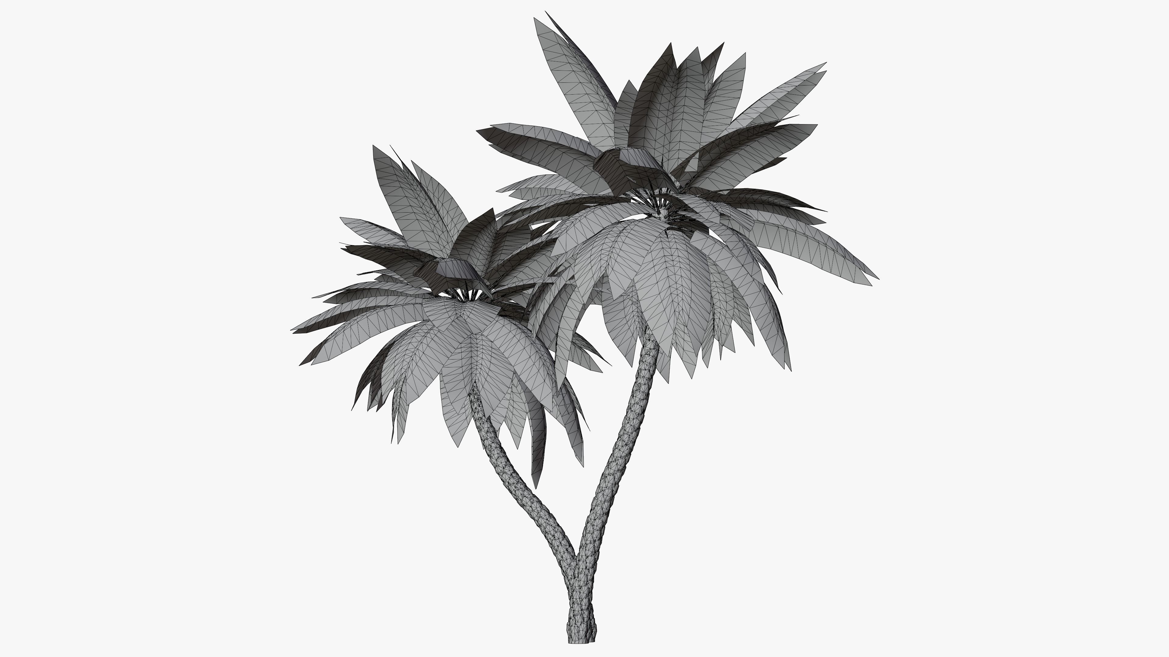 Date Palm v5 Low-poly 3D model_9