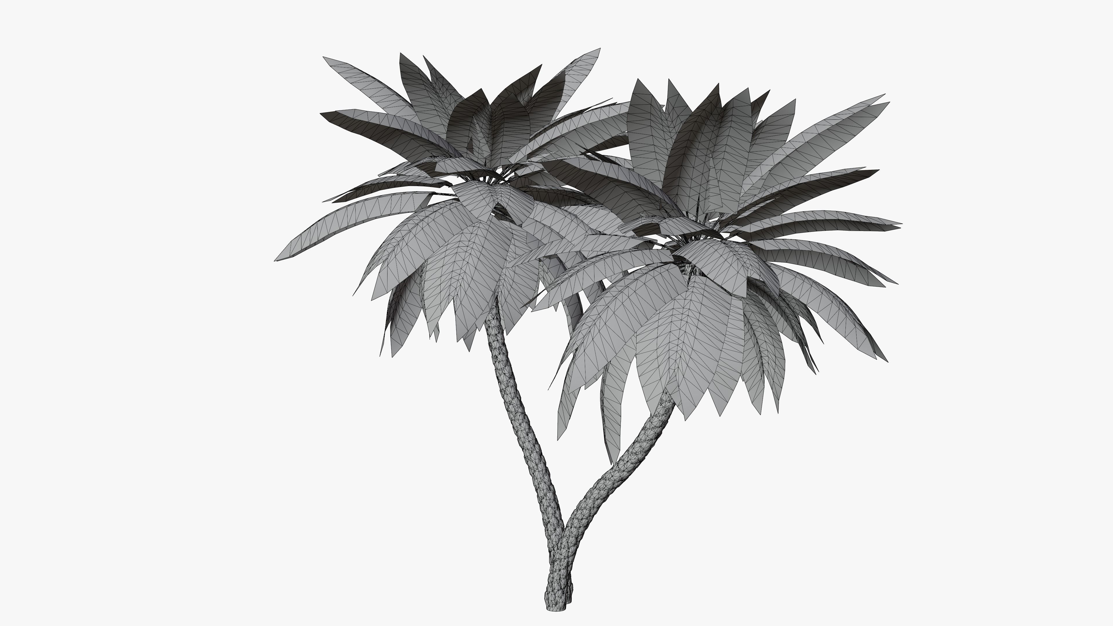 Date Palm v5 Low-poly 3D model_5